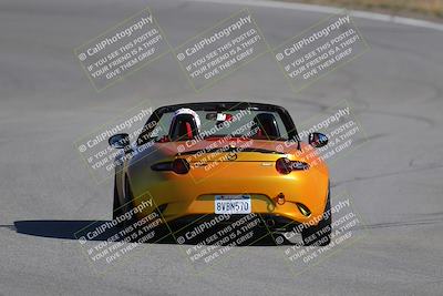 media/Nov-19-2023-Extreme Speed (Sun) [[bd0eec5490]]/Purple/Back Shots/